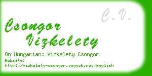 csongor vizkelety business card